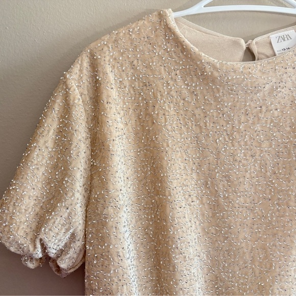 Zara Cream Sequin Beaded Velvet Bubble Cropped Blouse - Picture 3 of 16